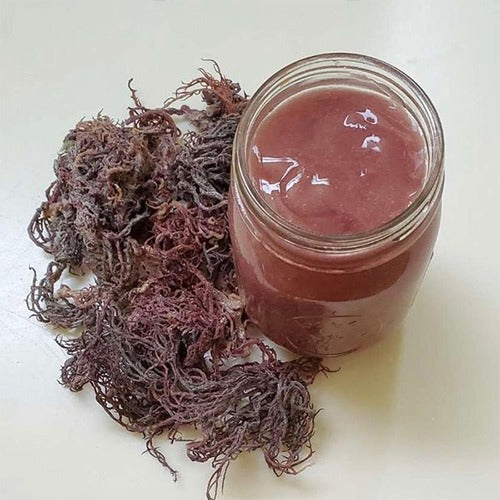 Purple Sea moss gel 16 OZ (DR.SEBI RECOMMEND)Elderberry,cinnamon,,ginger & aguave infused